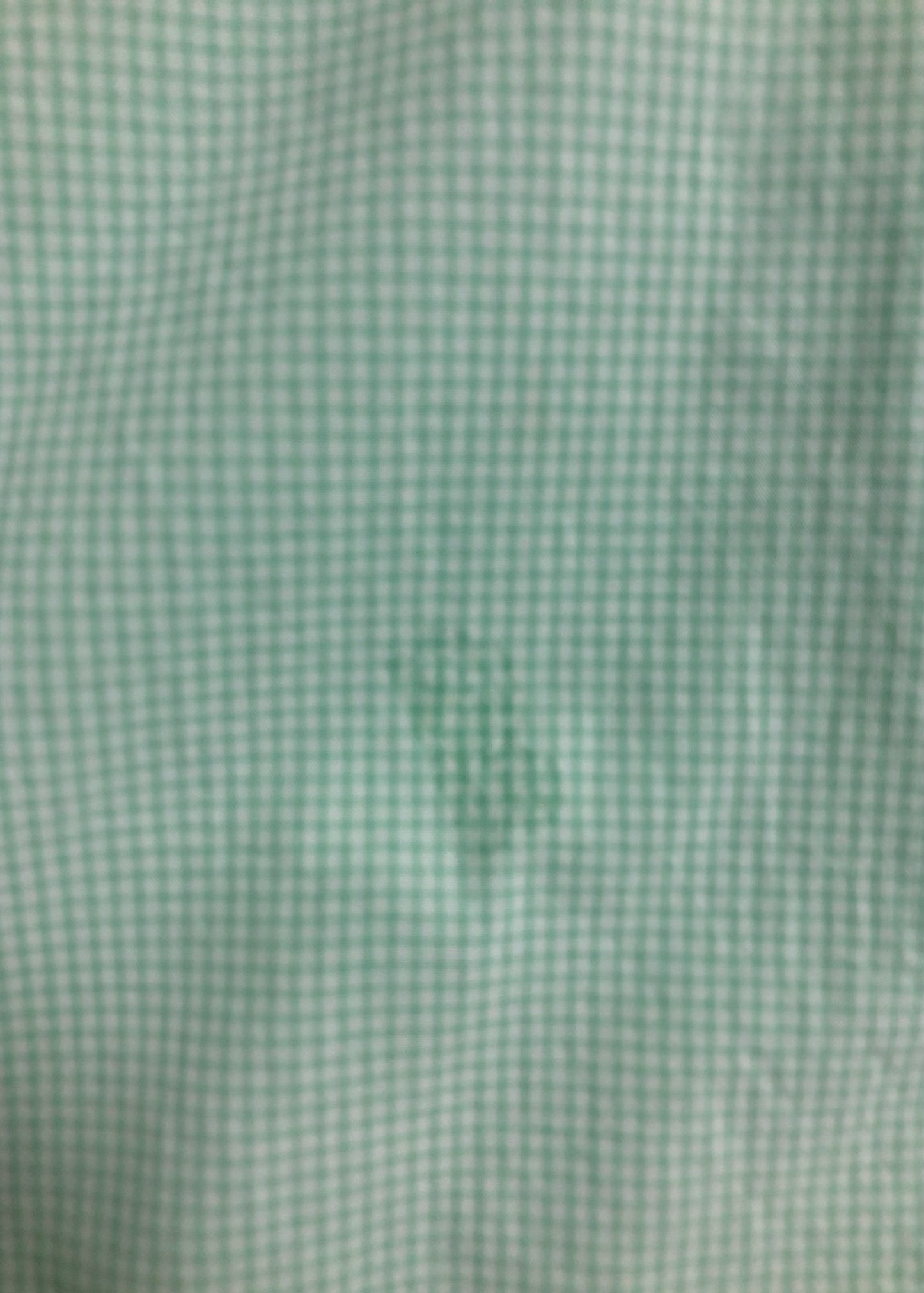 Camisa de botones Vineyard Vines 🐳 de cuadros finos en color verde claro y blanco Talla M Entalle Regular (ver descripción)