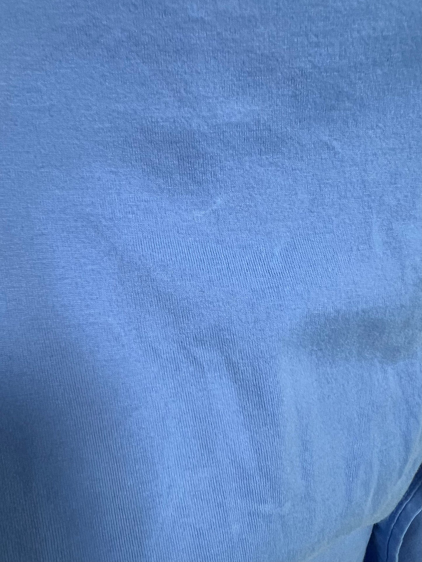 Camisa de botones Polo Ralph Lauren 🏇🏼 Performance en color celeste Talla S Entalle Regular (ver descripción)