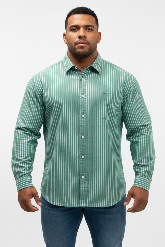 Camisa de botones Tommy Hilfiger 🇺🇸 Oxford de rayas en color verde y celeste Talla XXL Entalle Regular