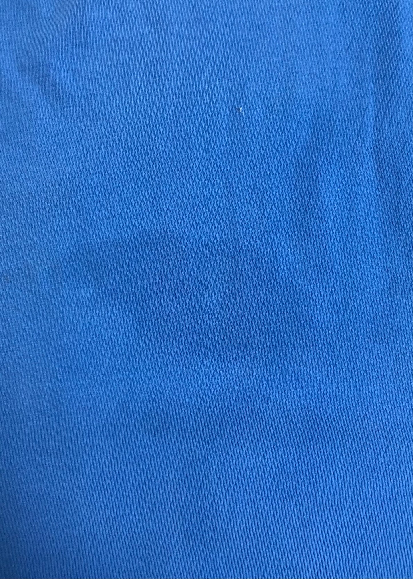 Camiseta cuello redondo Polo Ralph Lauren 🏇🏼 color celeste con diseño de polo bear Talla XXL Entalle Clásico