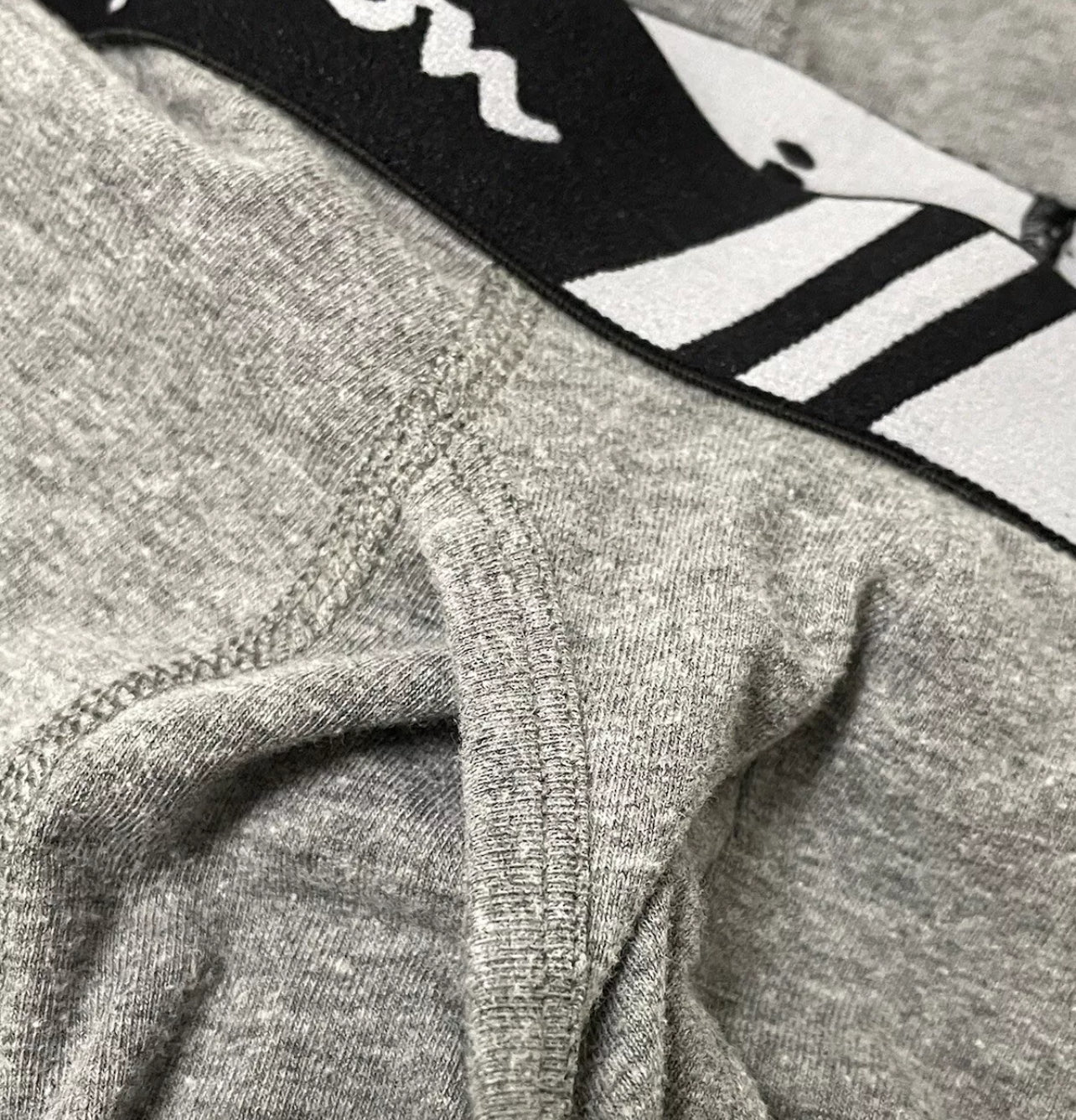 Boxers Briefs Champion Tela de algodón color Gris Talla L