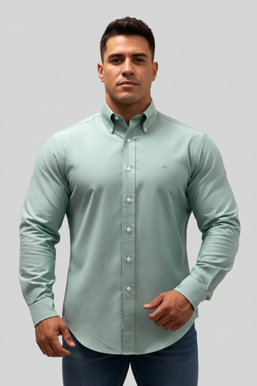 Camisa de botones Brooks Brothers 🐑 color verde claro tornasol Talla L Entalle Regular