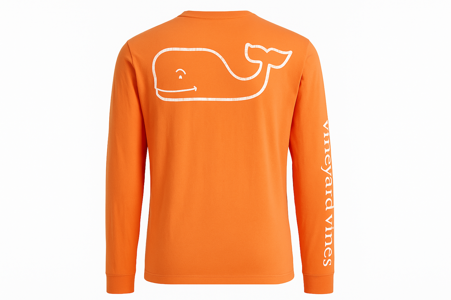 Back view ghost mannequin