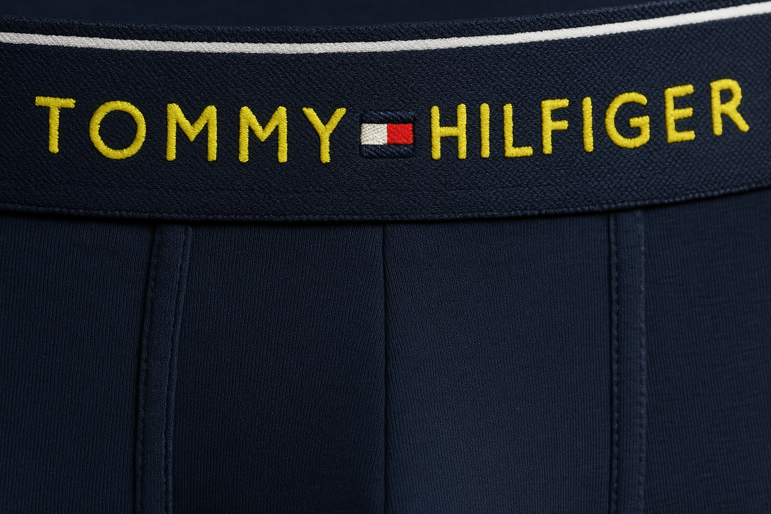 Close-up extremo 1 - Detalle de cintura colorida Tommy Hilfiger
