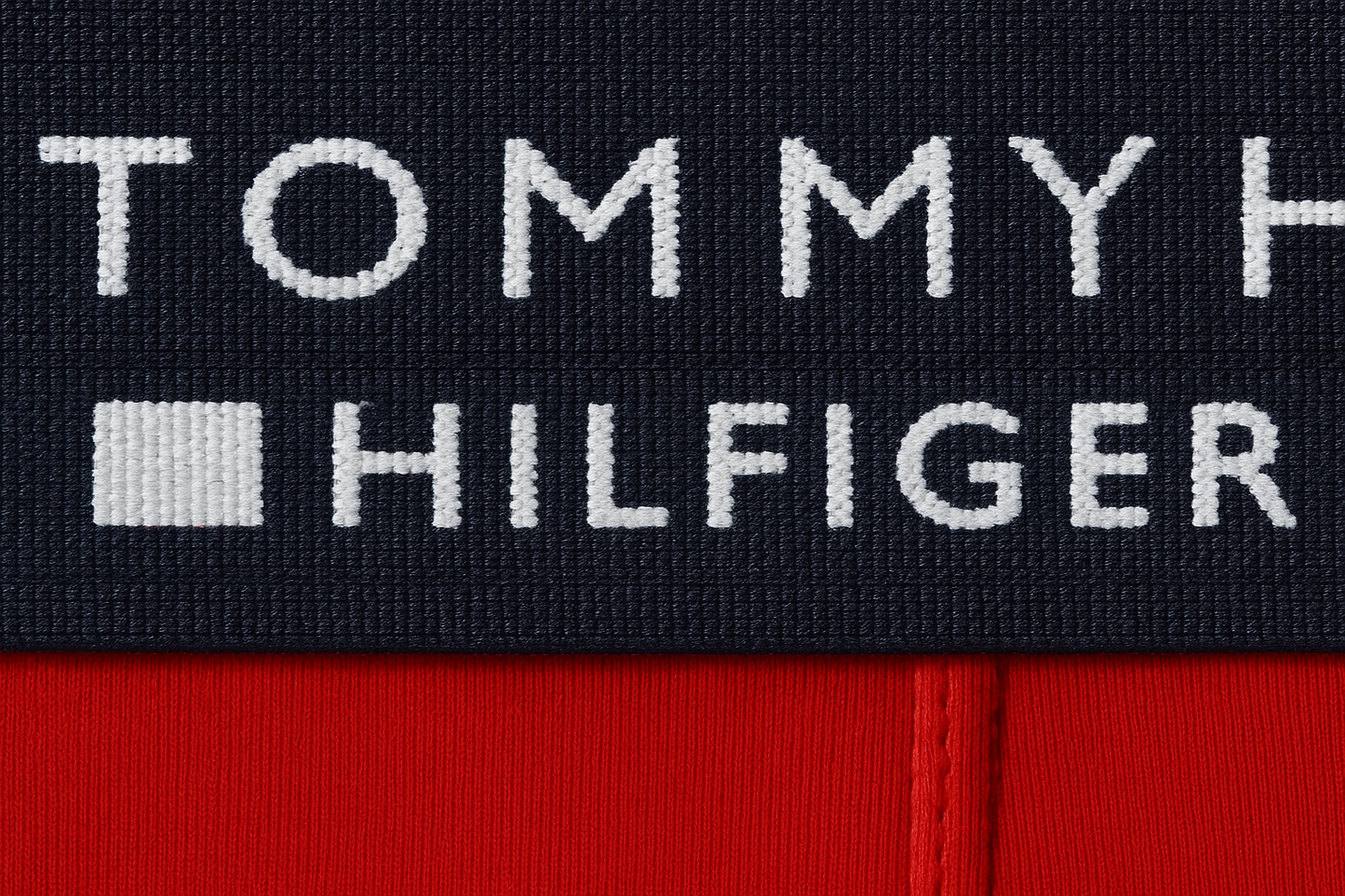 Close-up extremo 1 - Detalle de cintura Tommy Hilfiger