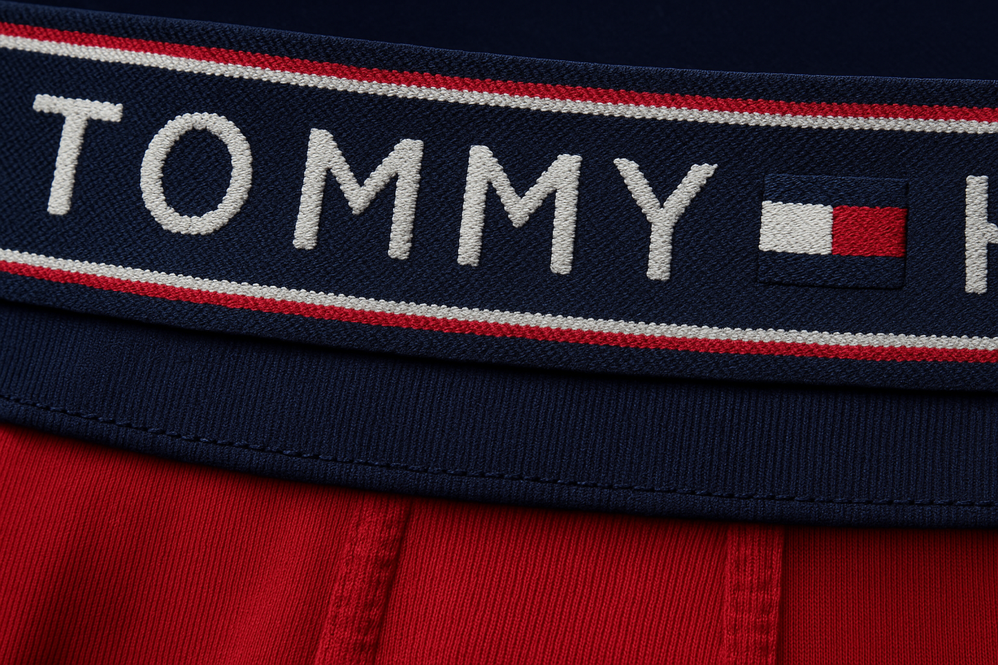 Close-up extremo 1 - Detalle de cintura Tommy Hilfiger
