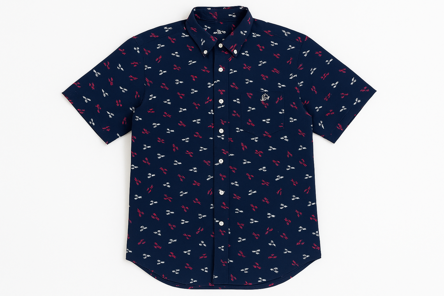 Imagen 1 - Vista frontal plana