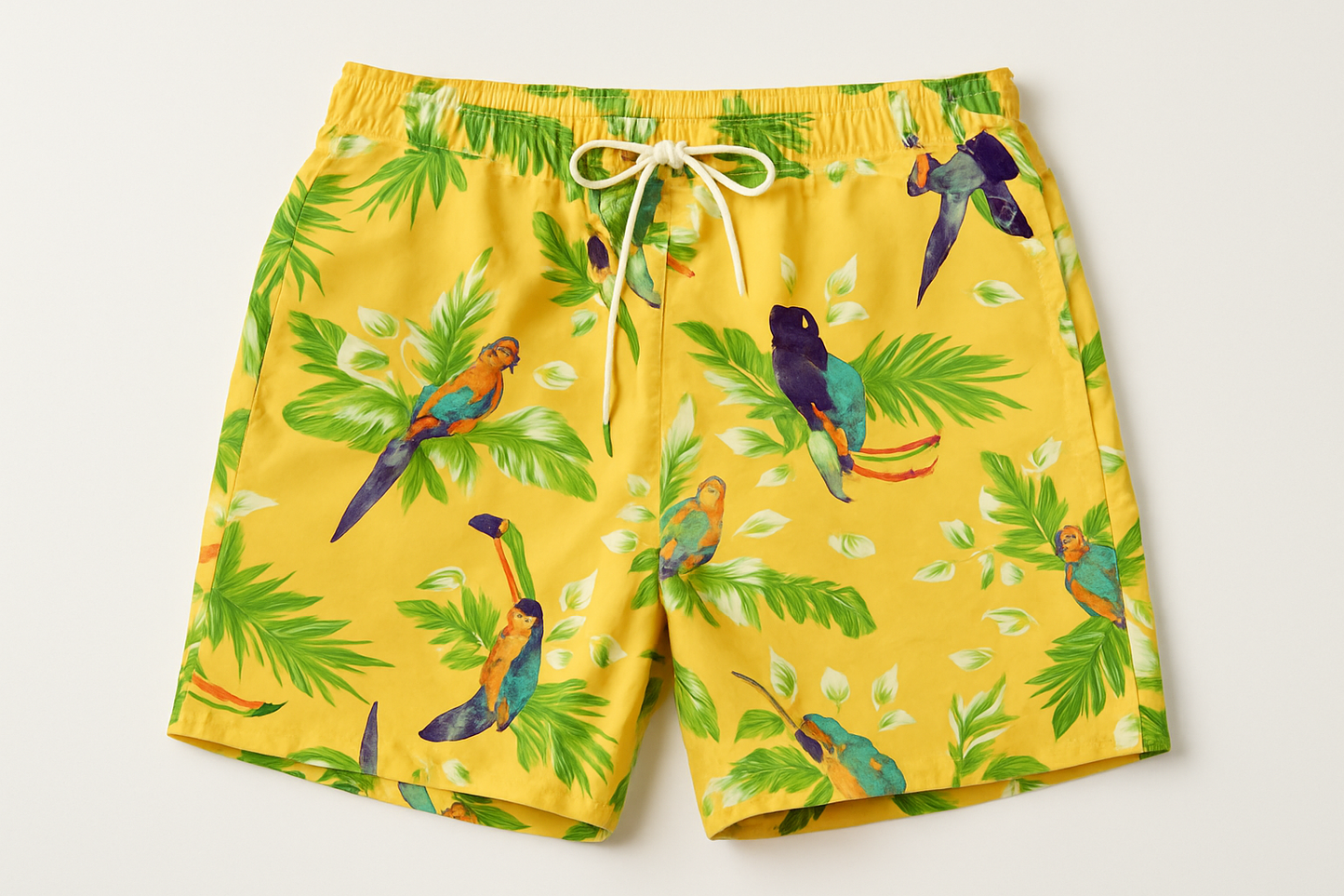 Imagen 1 - Vista frontal plana