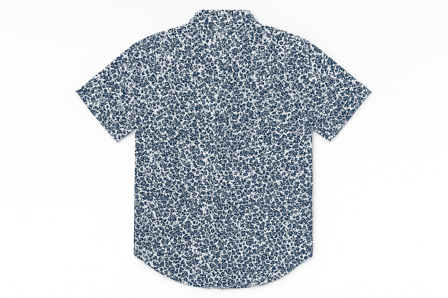 Imagen 2 - Vista trasera flat lay