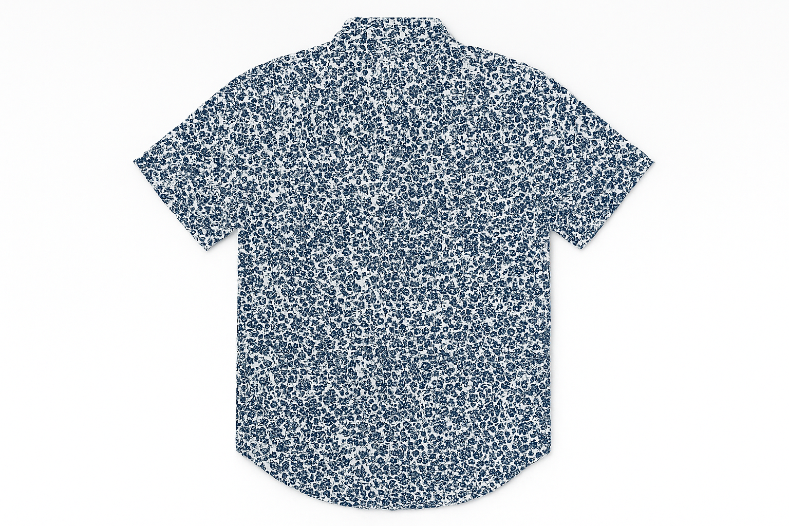 Imagen 2 - Vista trasera flat lay