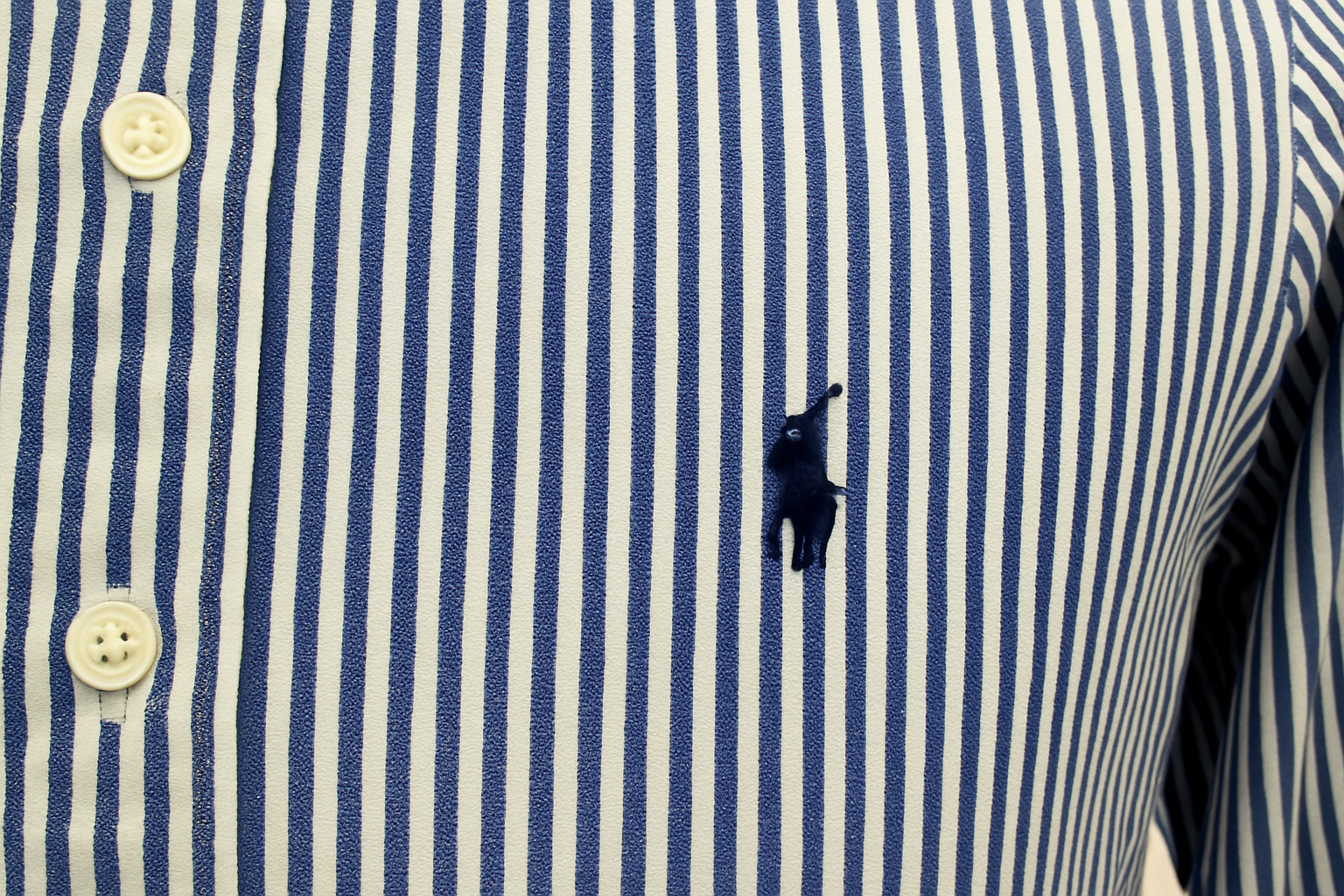 Imagen 3 - Detalle del logo Polo Ralph Lauren