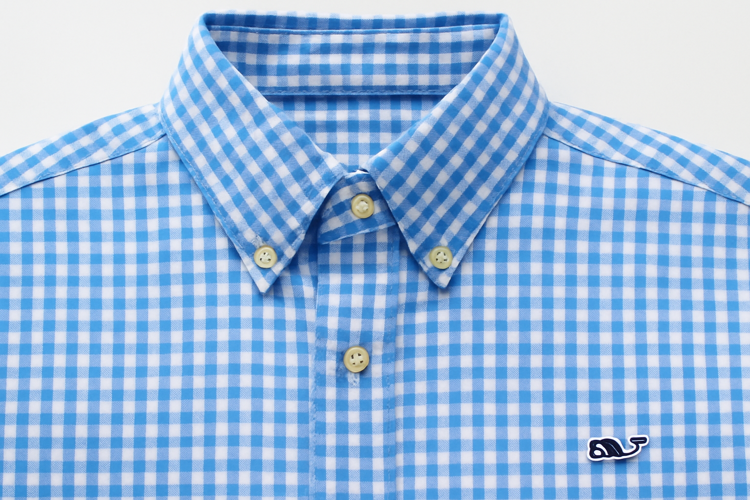 Imagen 4 - Detalle del cuello y botones