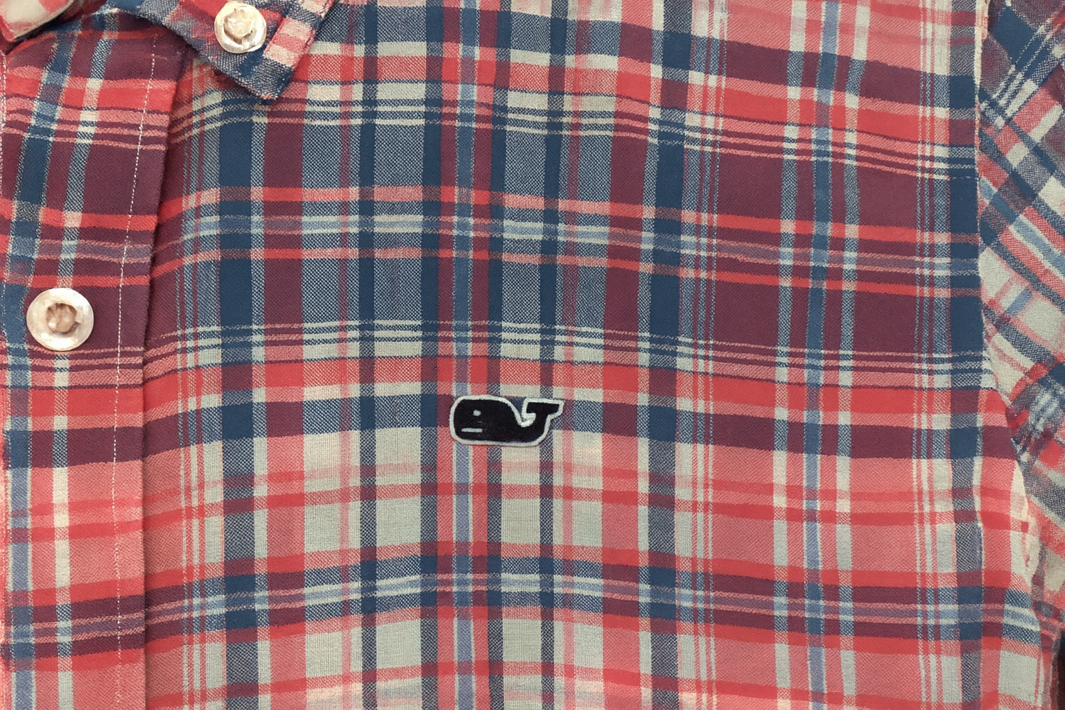 Imagen 4 - Detalle del logo de ballena