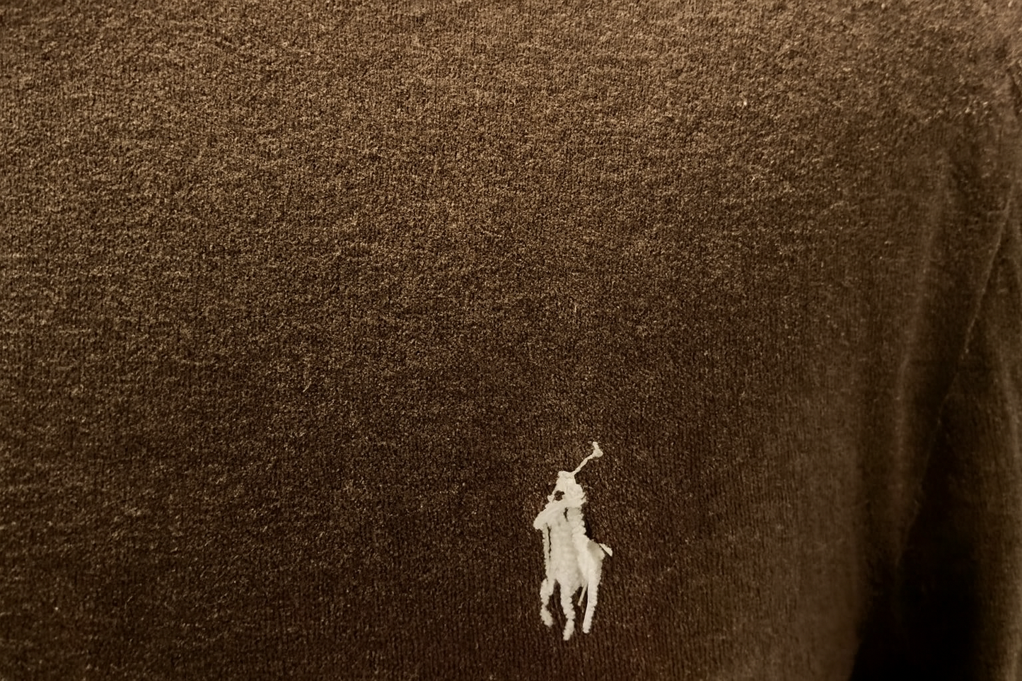 Imagen 4 - Detalle del logo del jinete