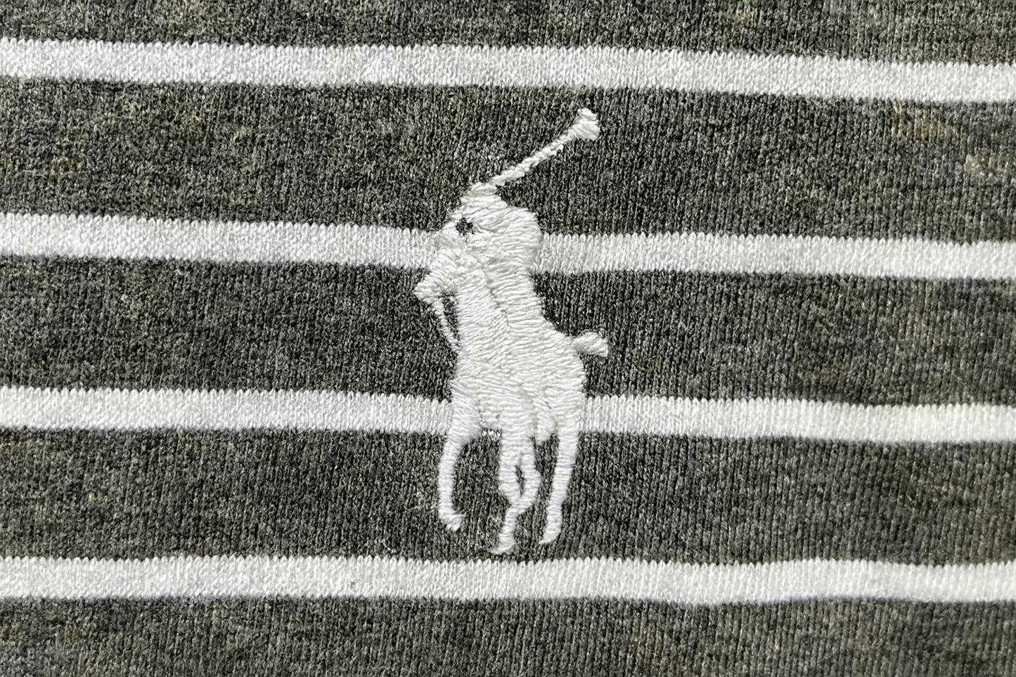 Imagen 4 - Detalle del logo polo player