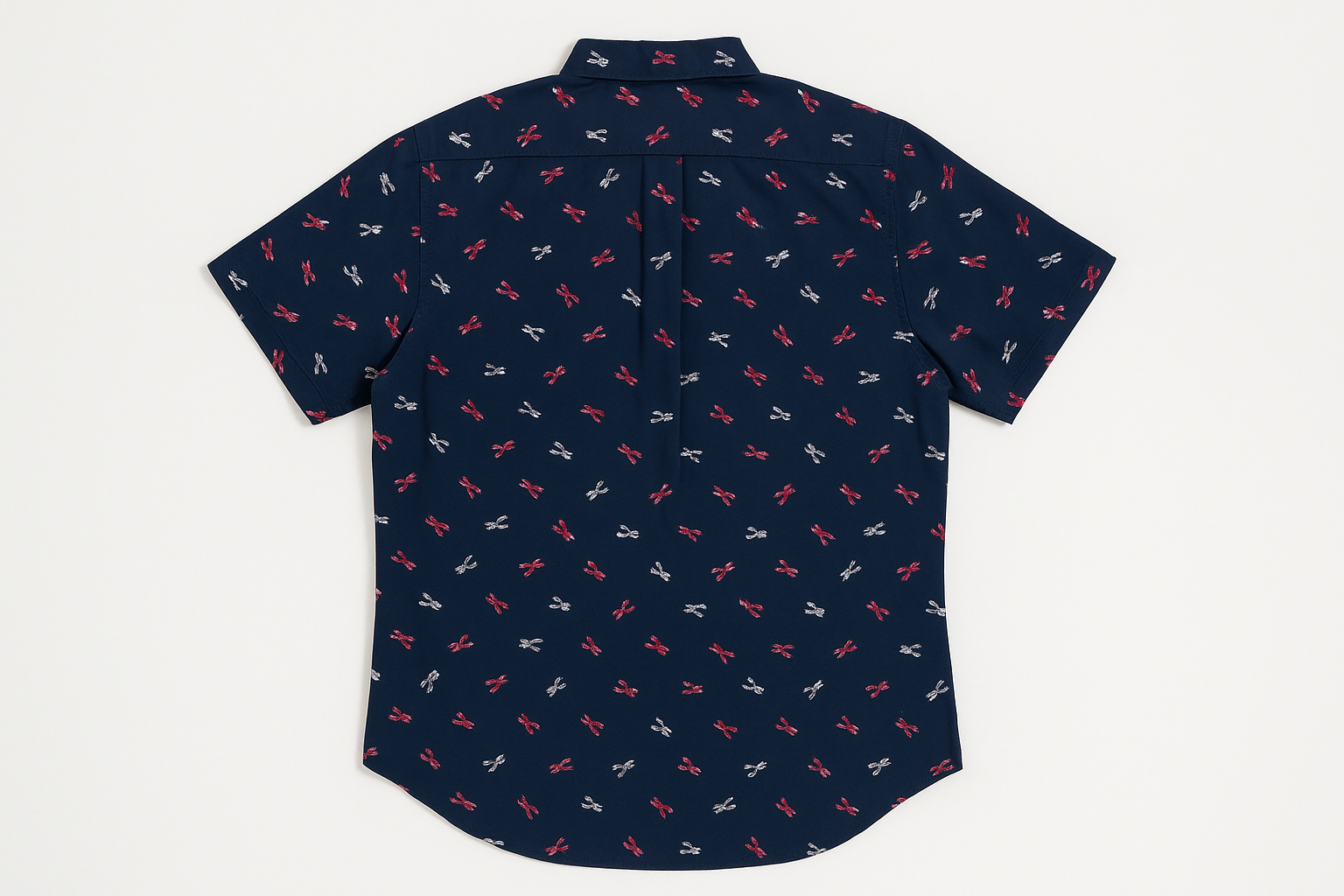 Imagen 4 - Vista trasera