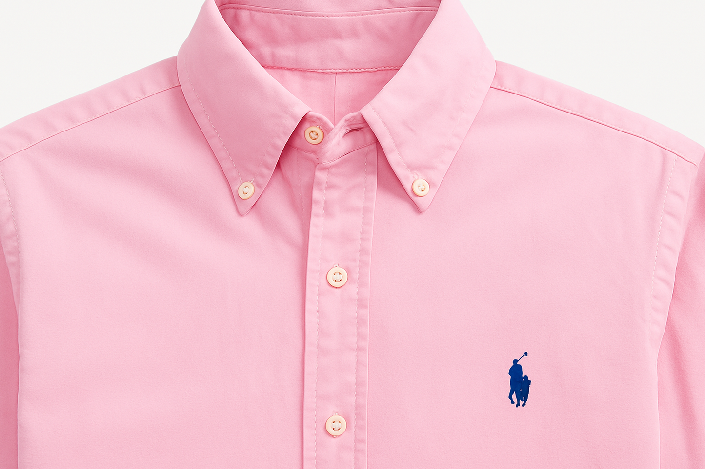 Imagen 5 - Detalle de collar y logo