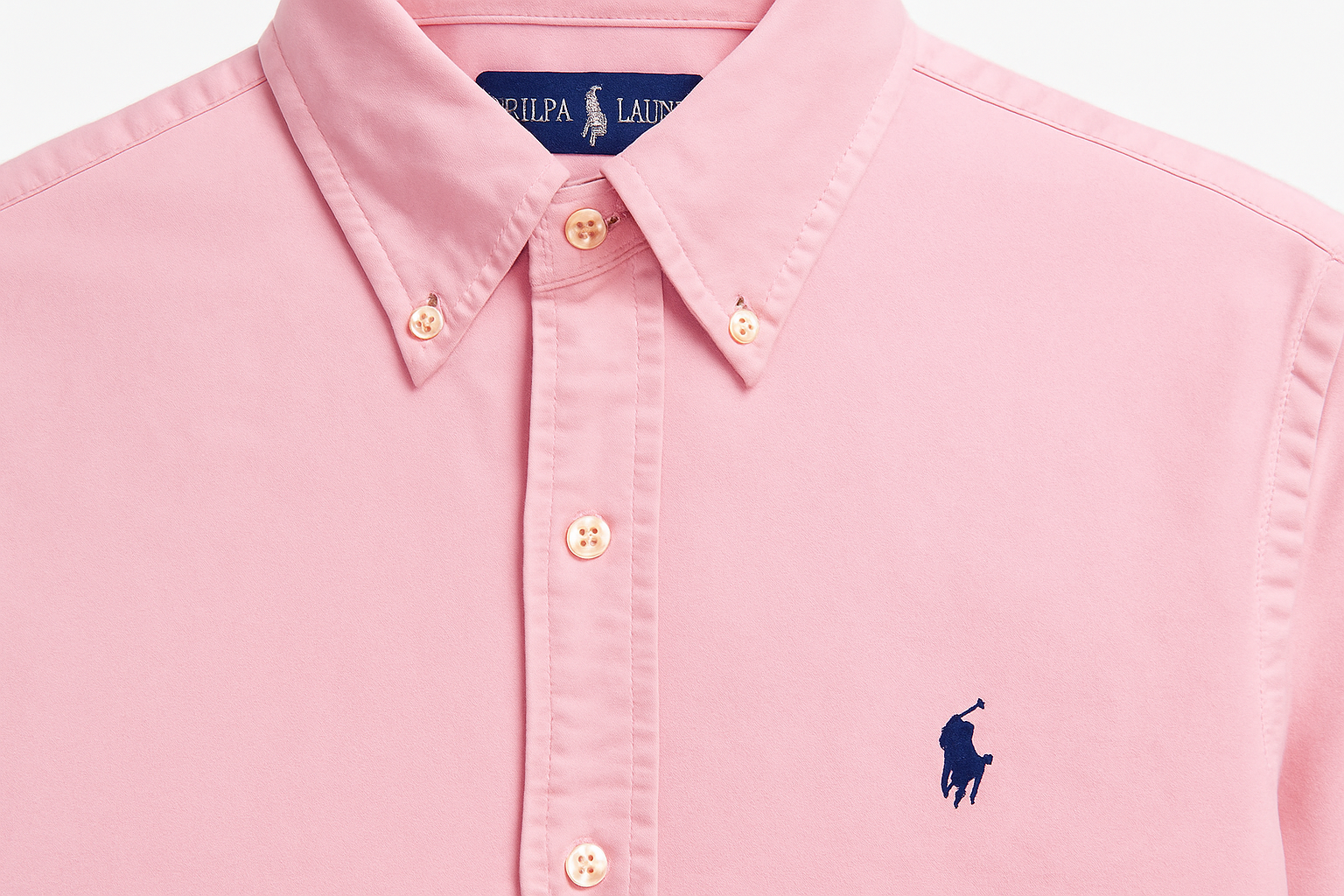 Imagen 5 - Detalle de collar y logo