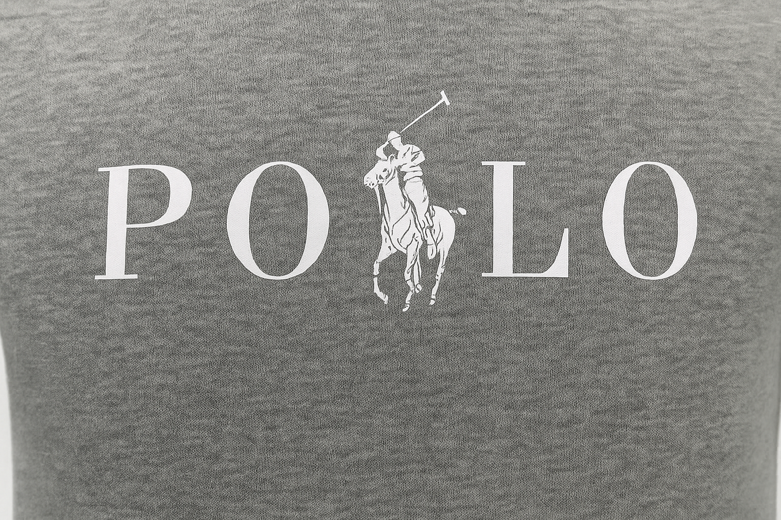 Imagen 5 - Detalle del logo POLO