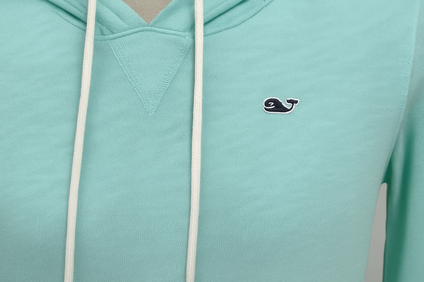 Imagen 5 - Detalle del logo