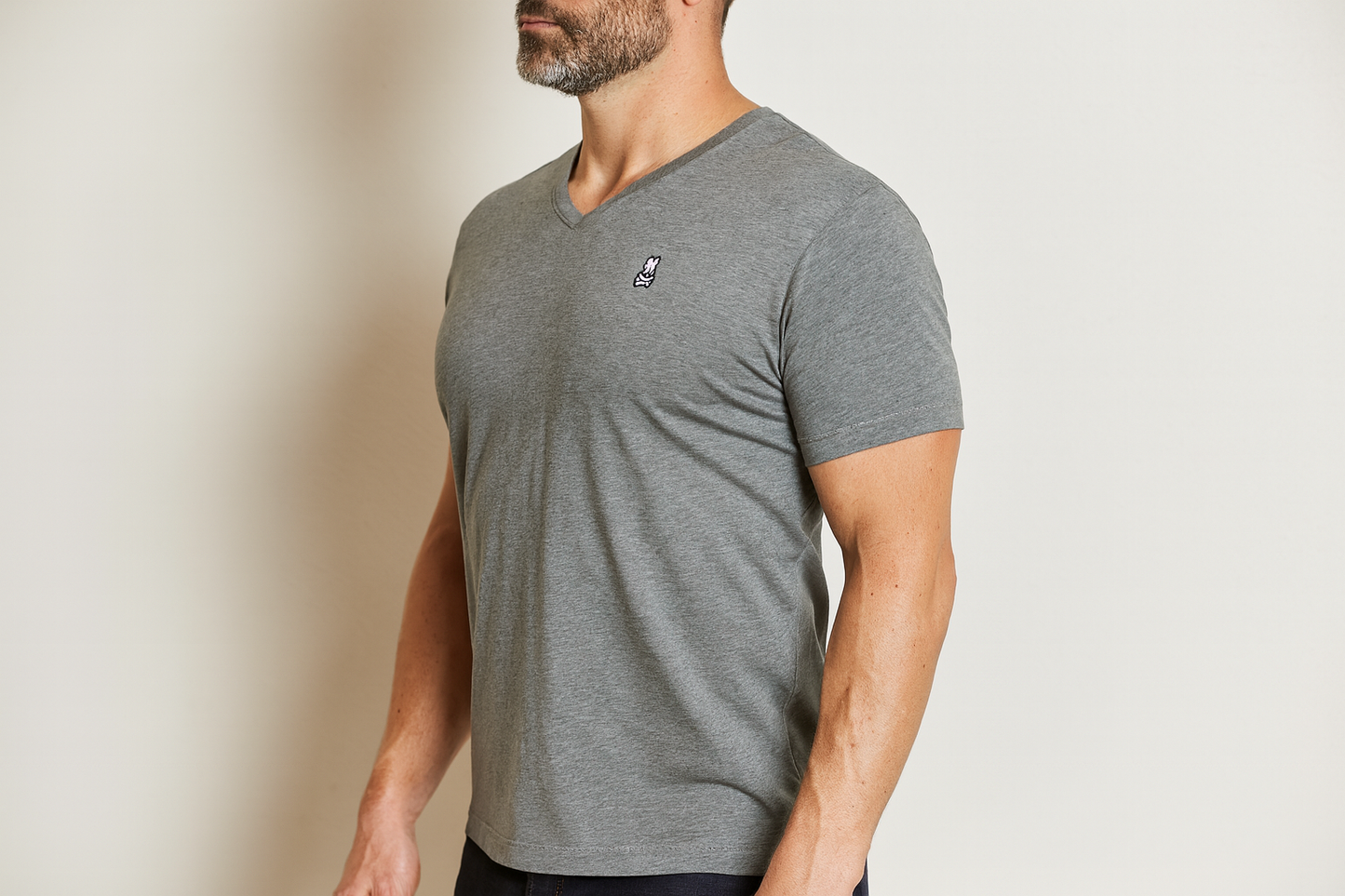 Modelo - Perfil Lateral