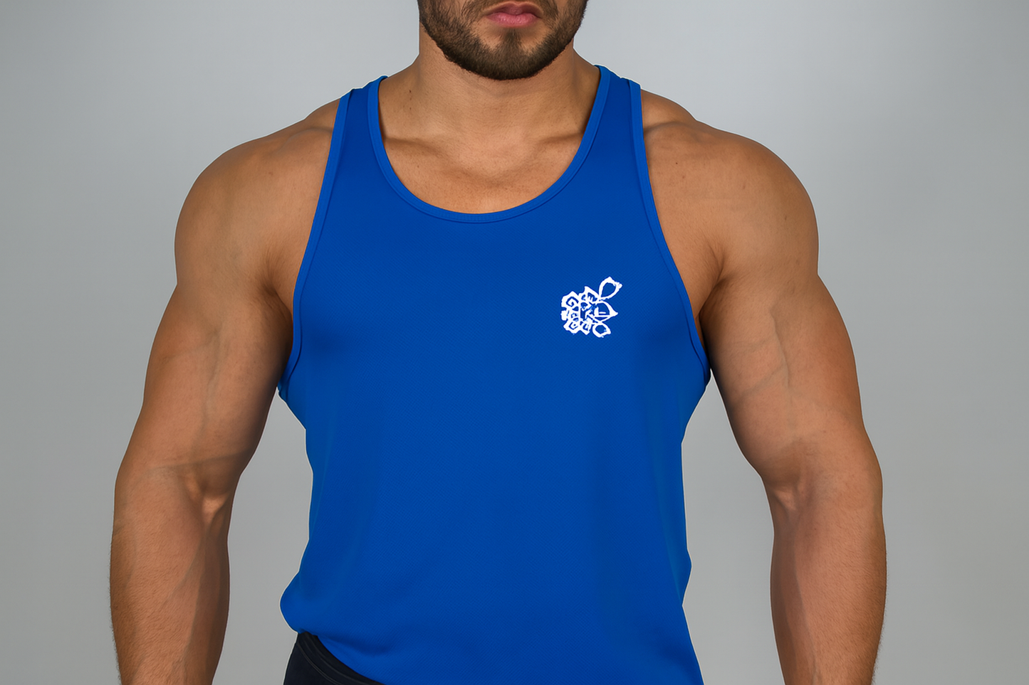 Modelo - Vista Frontal