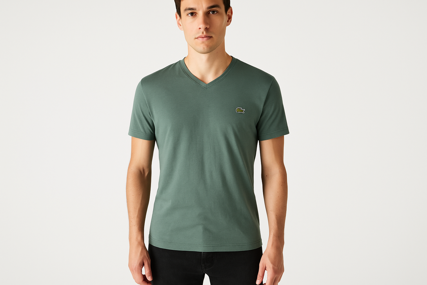 Modelo vista frontal