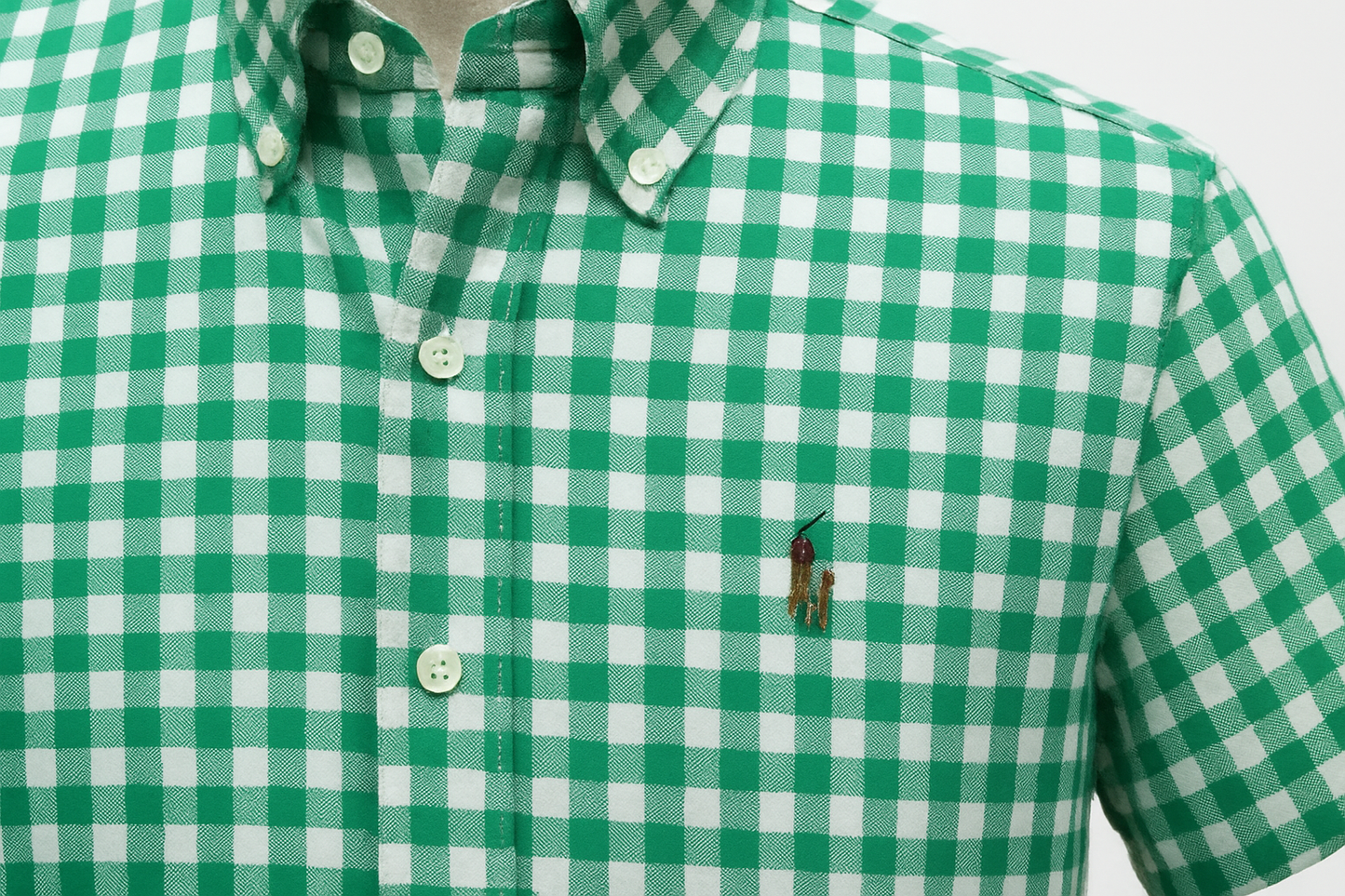 Product Shot 3 - Detalle del collar y logo