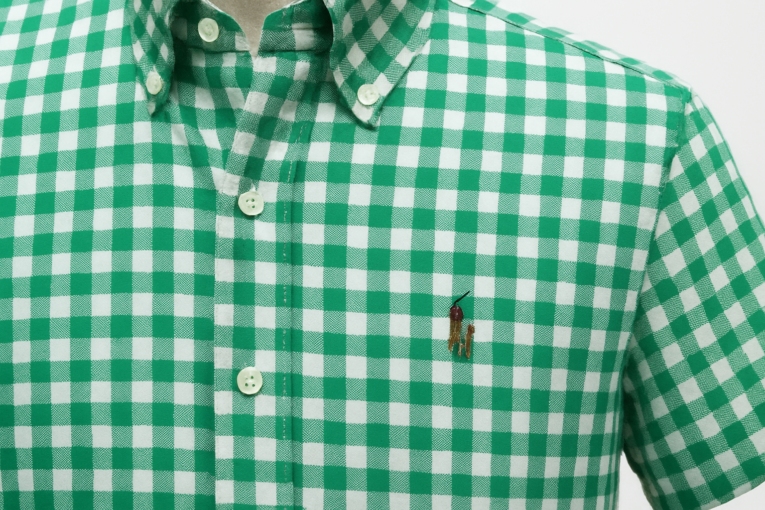 Product Shot 3 - Detalle del collar y logo