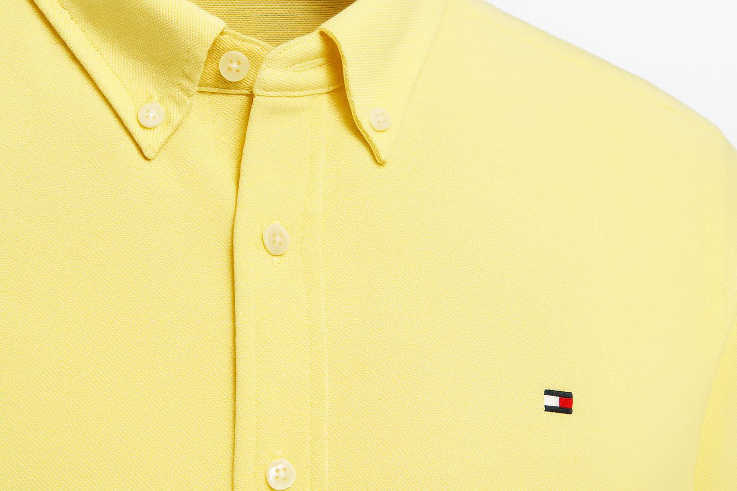 Product Shot 3 - Detalle del collar y logo