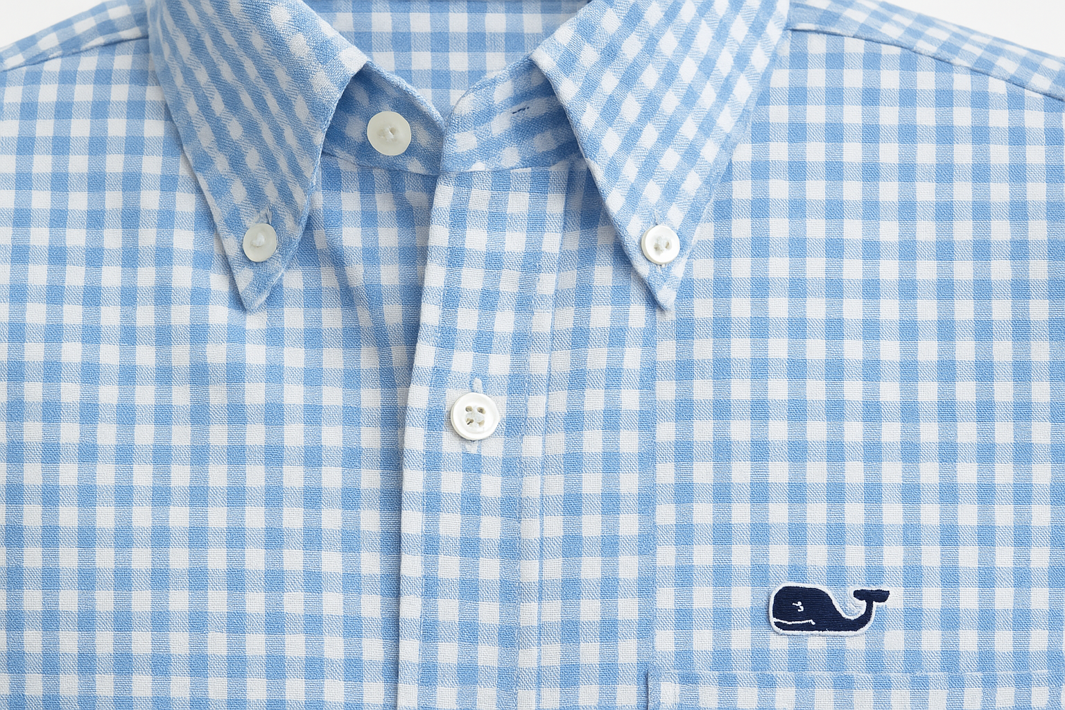 Product Shot 3 - Detalle del collar y logo