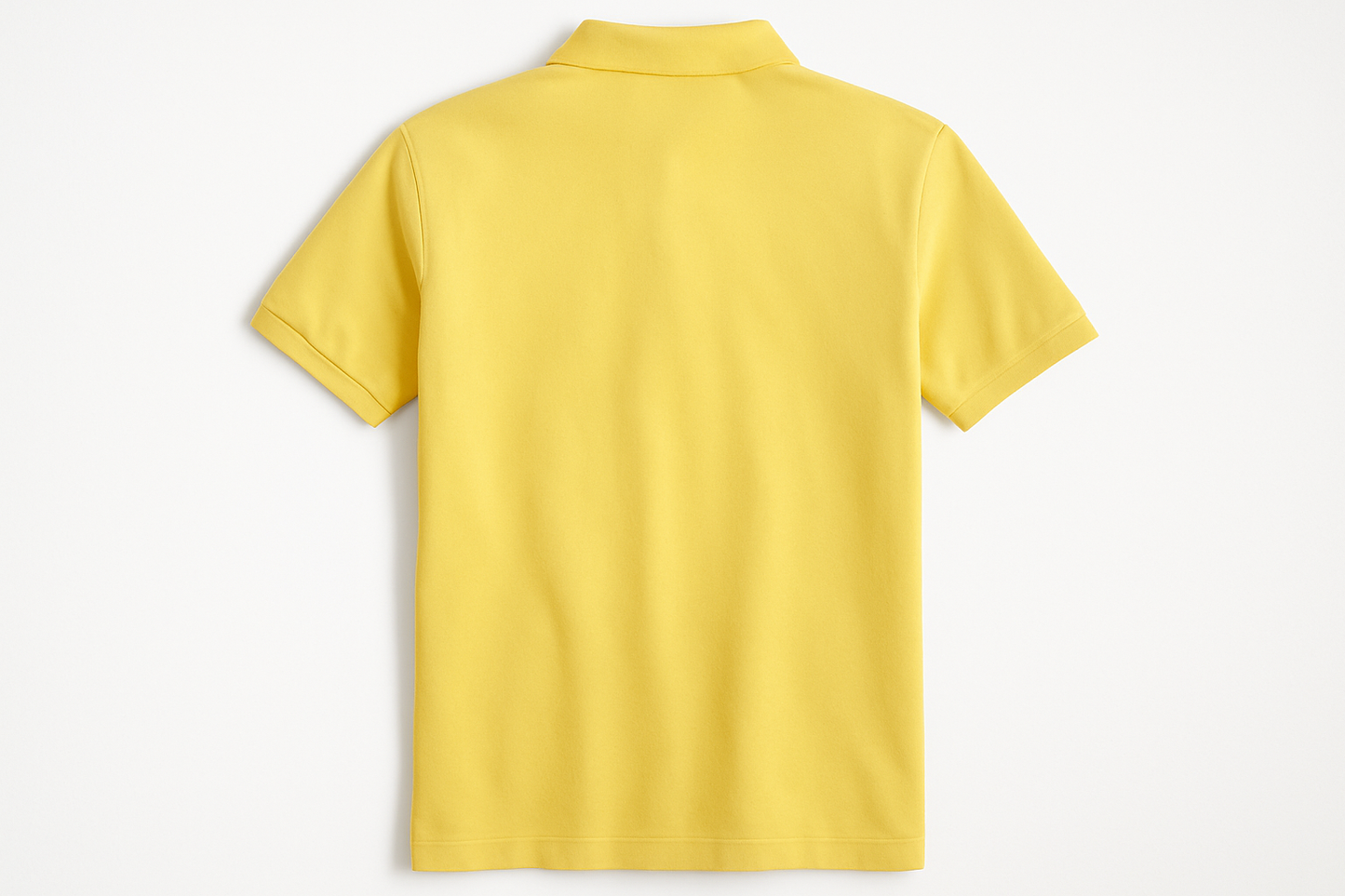 Vista Posterior Sin Logo #e9e369