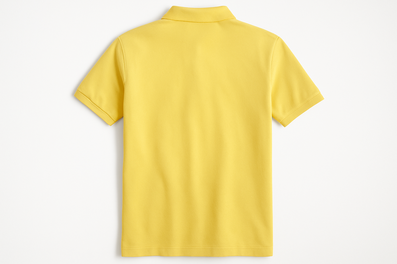 Vista Posterior Sin Logo #e9e369