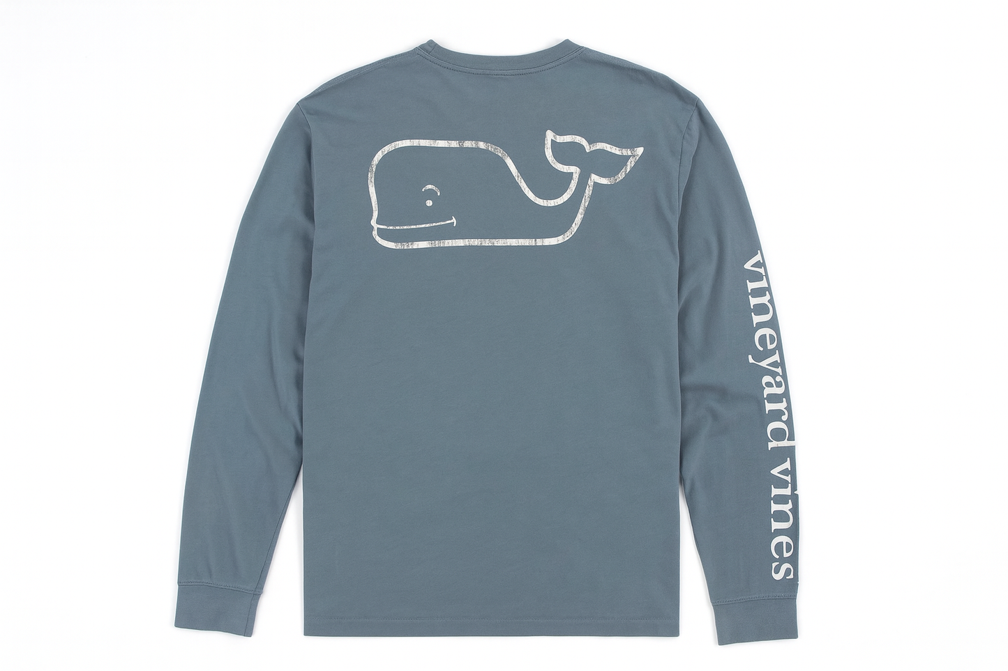 Vista trasera con ballena gris