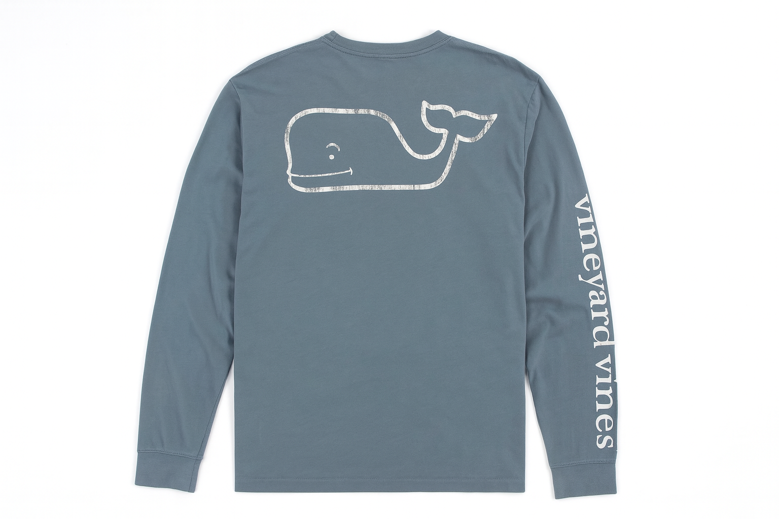 Vista trasera con ballena gris